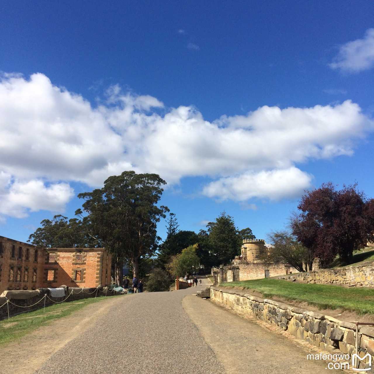 od体育亚洲官网-塔斯马尼亚联主帅强调团队配合，迎战欧洲劲旅的简单介绍